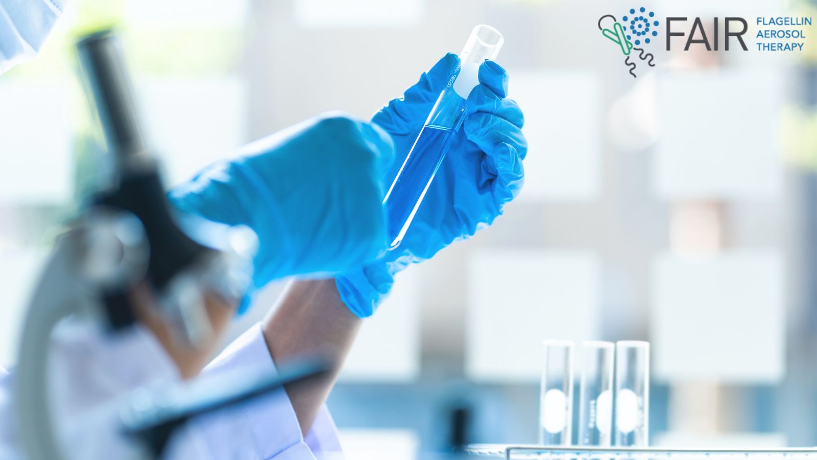 Webinar announced to mark the end of the FAIR project 